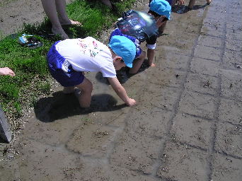 ���A�c�t���c�A��