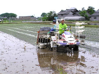 ���}���`�c�A��