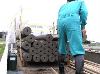 ���}���`�̑�