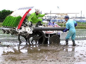 ���}���`���[������