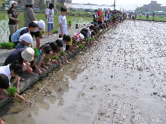 �x�z�c�A��