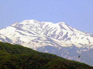 ���R�]��