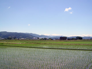 ���R���i