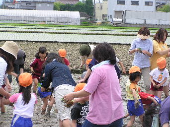 �Ƃ��̓c�A��