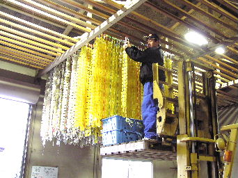 �J�L���`���낵