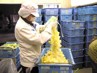 �J�L���`�O��