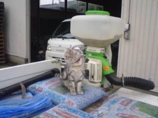 �y�g���ƔL