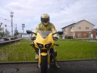 �C���ƏW���̓c�i�M