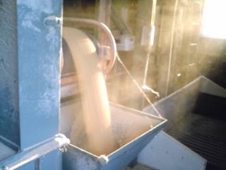 �����F�̖�