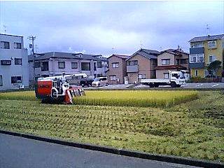 �ǂ�����