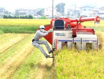 ���R�V���