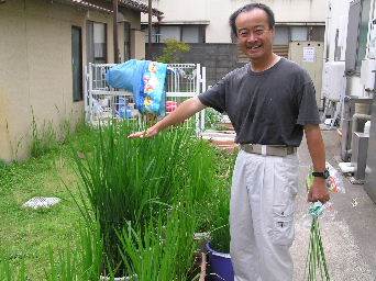 ����c�t���o�P�c��