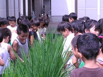 �엿�U�z��*