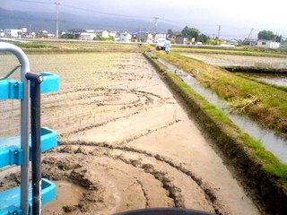 �N���N��