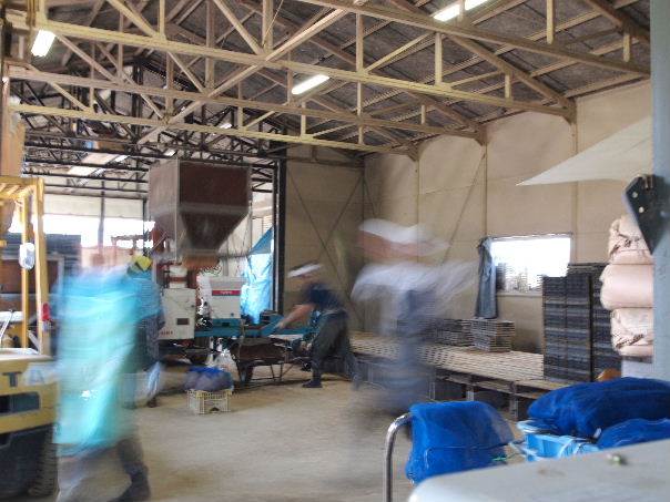 �J�O�����`��܂�