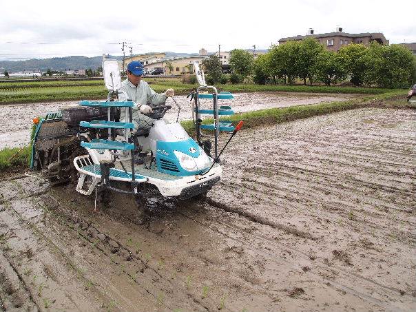 �c�A�@��Œ����N