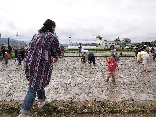 ����c�t���c�A��