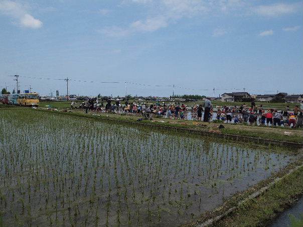 �Ƃ��̗c�t���̓c�A���I��