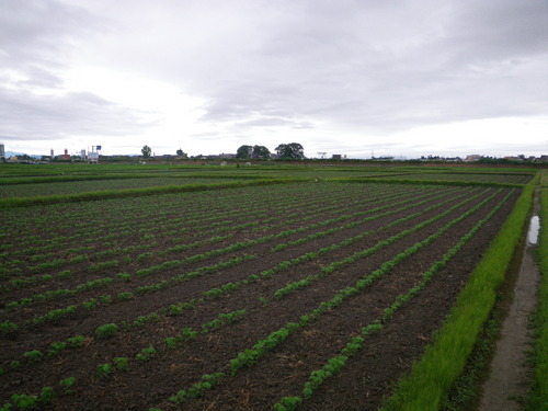 IMGP7556.JPG