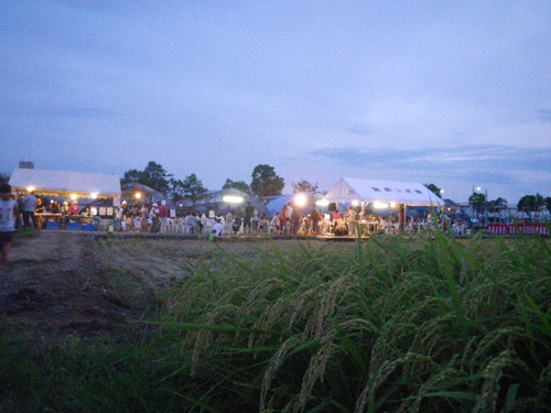 IMGP8108.JPG