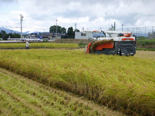 2013kosi09061.jpg