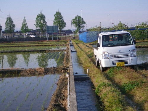 IMGP9261.JPG