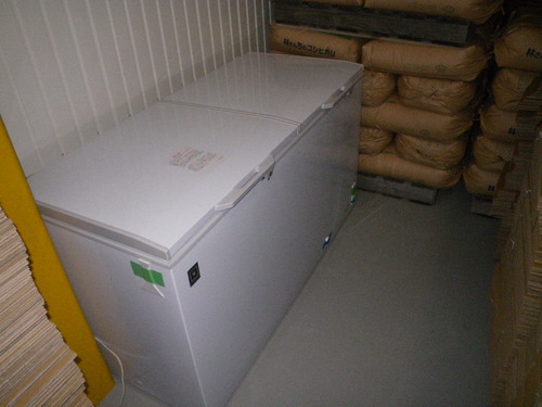 IMGP0464.JPG