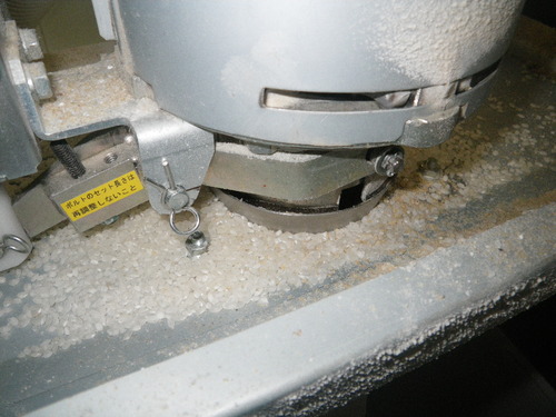 IMGP1102.JPG
