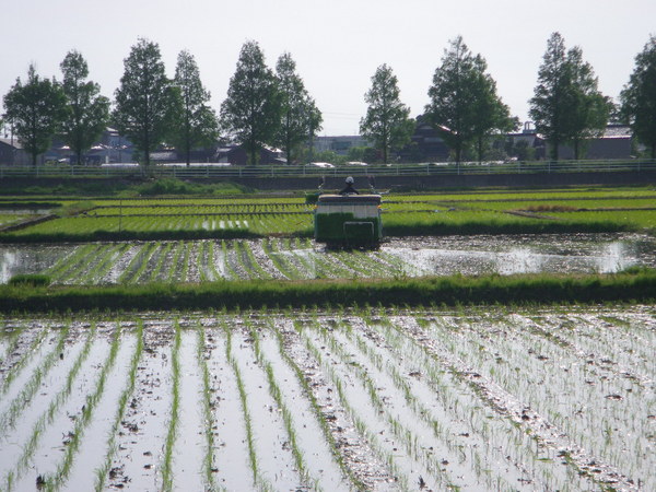 IMGP2824.JPG