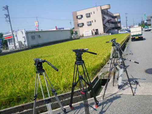 IMGP3279.JPG