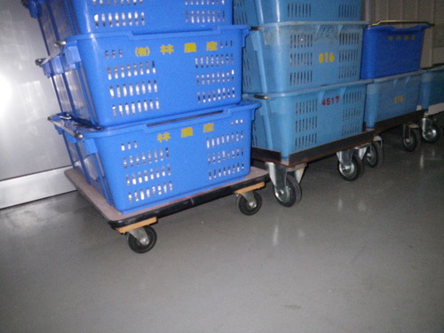 IMGP4013.JPG