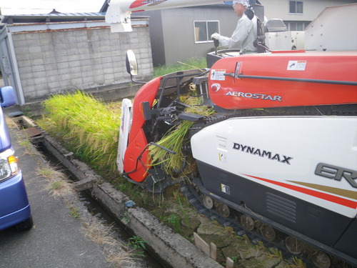 IMGP5839.JPG