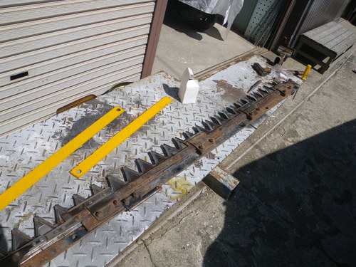IMGP6002.JPG