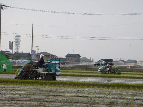 2013taue05143.jpg