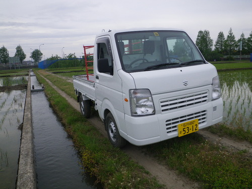 IMGP7433.JPG