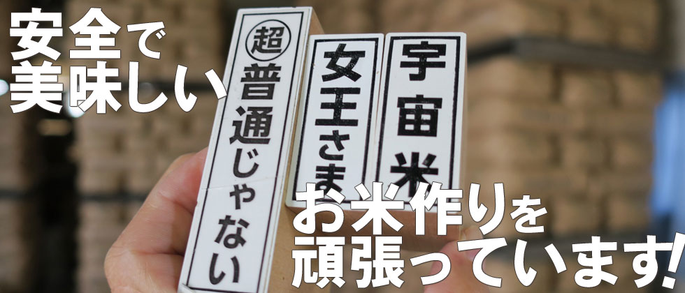 安全で美味しいお米作りを頑張っています!