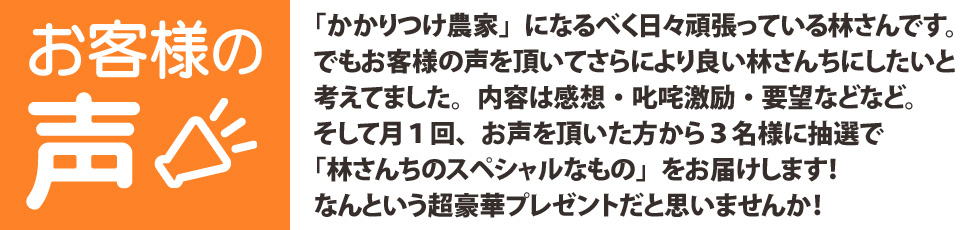 林さんちのお客様の声