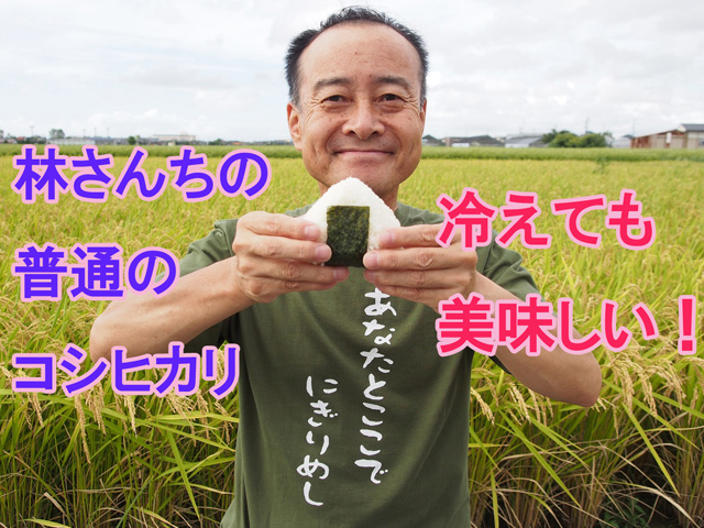冷えても美味しい!
