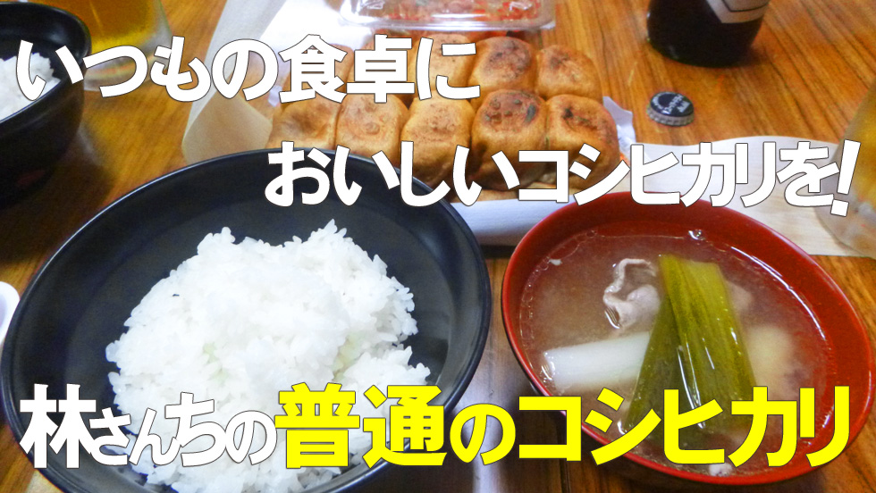 いつもの食卓においしいコシヒカリを!普通のコシヒカリ
