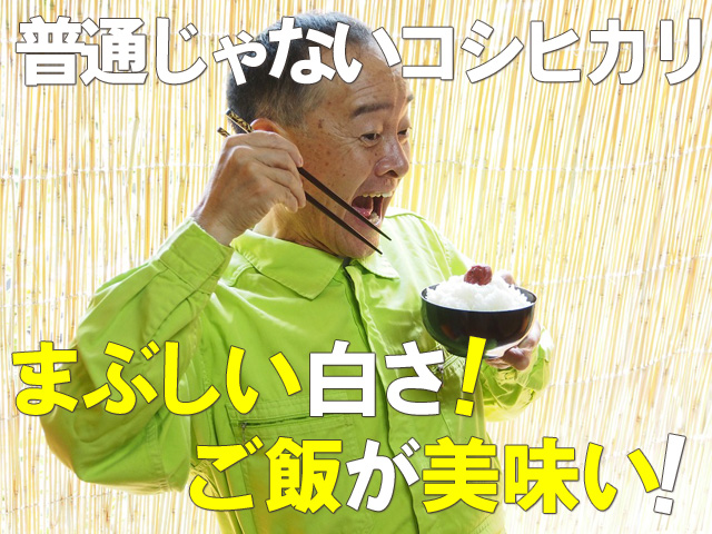 まぶしい白さ!ご飯が美味い!