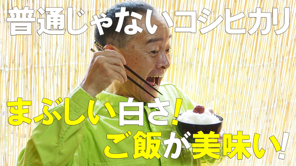 普通じゃないコシヒカリ まぶしい白さ!ご飯が美味しい!