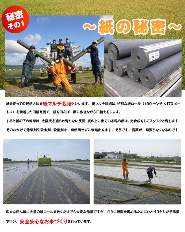 紙の秘密
