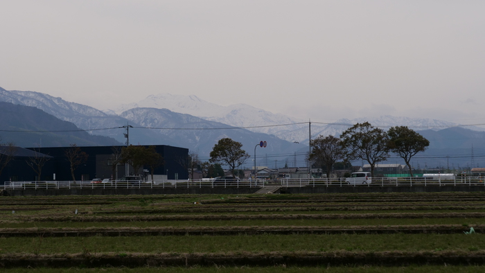 P1344526.JPG