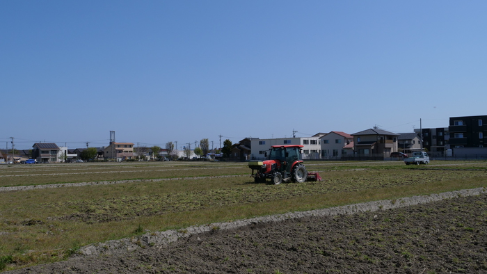 P1355463.JPG