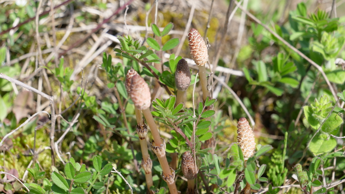 P1344723.JPG