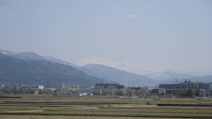 P1355478.JPG