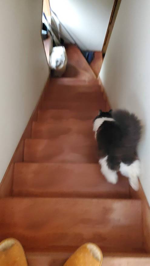 20220513_063653.jpg