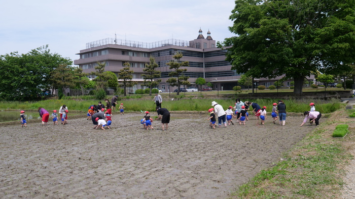 P1377259.JPG