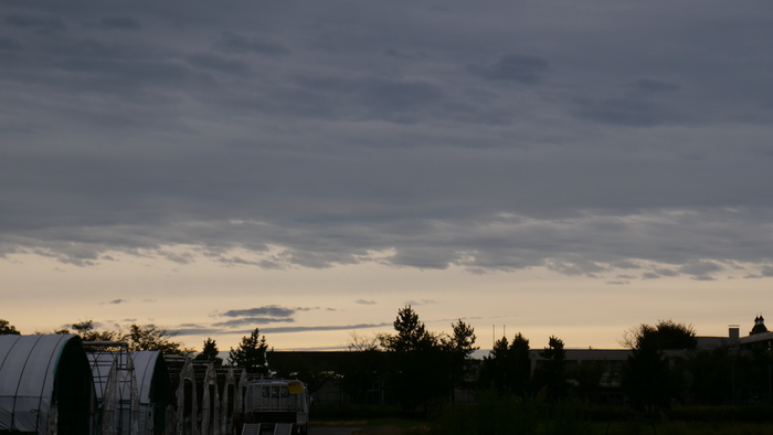 P1422490.JPG
