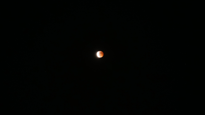 P1444713.JPG